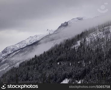 Scenic view of trees on snow covered mountain, Regional District of Fraser-Fort George, Highway 16, Yellowhead Highway, British Columbia, Canada