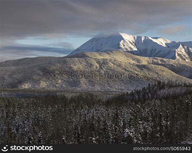Scenic view of trees with mountain range in the background, Alaska Highway, Northern Rockies Regional Municipality, British Columbia, Canada