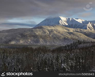 Scenic view of trees with mountain range in the background, Alaska Highway, Northern Rockies Regional Municipality, British Columbia, Canada