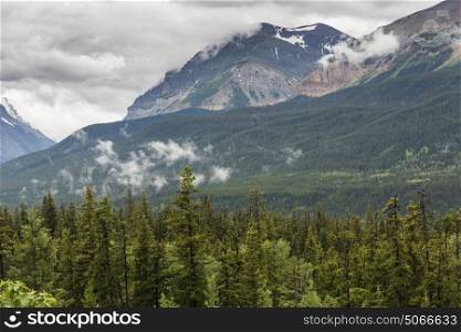 Scenic view of trees with mountains against cloudy sky, Waterton Lakes National Park, Southern Alberta, Alberta, Canada