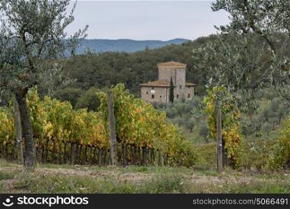Scenic view of vineyard and house in valley, Radda in Chianti, Tuscany, Italy