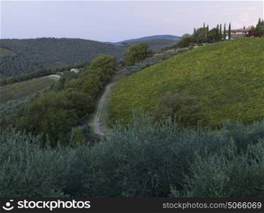 Scenic view of vineyard with village in background, Tuscany, Italy