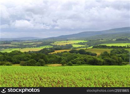 Scenic view on summer agricultural landscape in Brittany, France