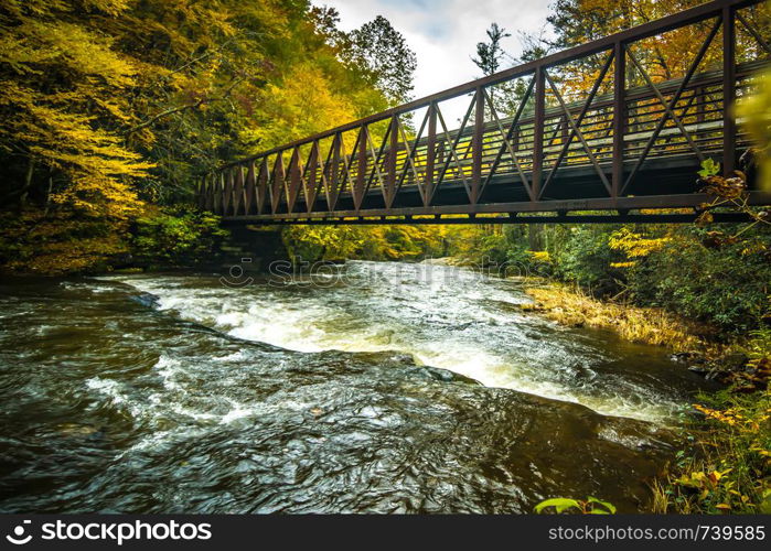 Scenic views along virginia creeper trail