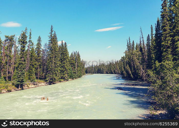 Scenic views of the Athabasca River, Jasper National Park, Alberta, Canada