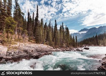 Scenic views of the Athabasca River, Jasper National Park, Alberta, Canada