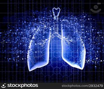 Schematic illustration of human lungs
