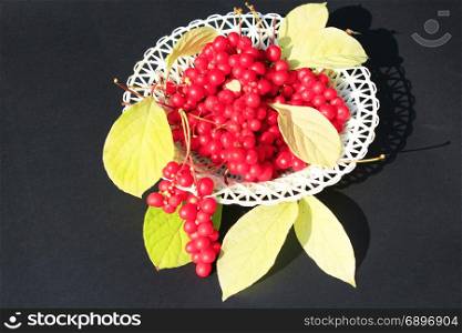 schisandra on the plate. schisandra and leaves on the plate on the dark background