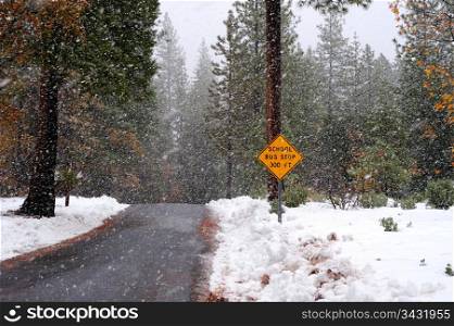 School Bus Stop Sign And Storm. A single lane road with a sign notifying that there is a school bus stop ahead in the winter time with heavy snow starting to fall
