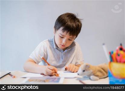 School Kid using colour pen drawing and painting on white paper sheet, A boy doing online home work by using tablet, Child colouring dog toys on paper, E-learning online education