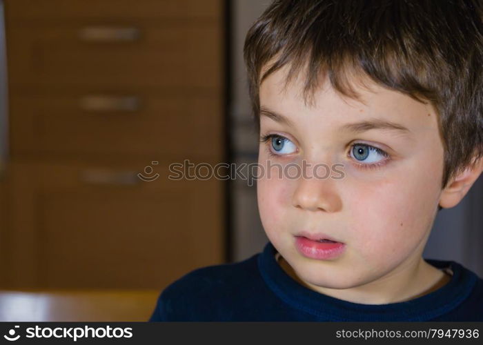 Schoolboy concentrating; at home doing homework