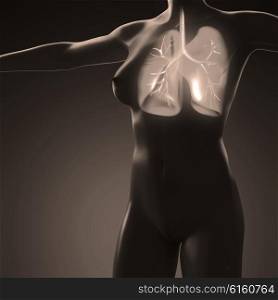 science anatomy of human body with glow lungs