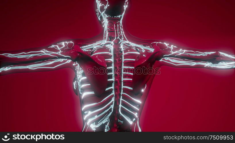 science-anatomy-scan-of-human-blood-vessels-blood-vessels-of-human-body-stockphotos