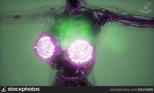 science anatomy scan of human body in x-ray with glow mammary gland. Human Body with Visible Glow Mammary Gland