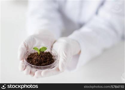 science, biology, ecology, research and people concept - close up of scientist hands holding petri dish with plant and soil sample in bio laboratory