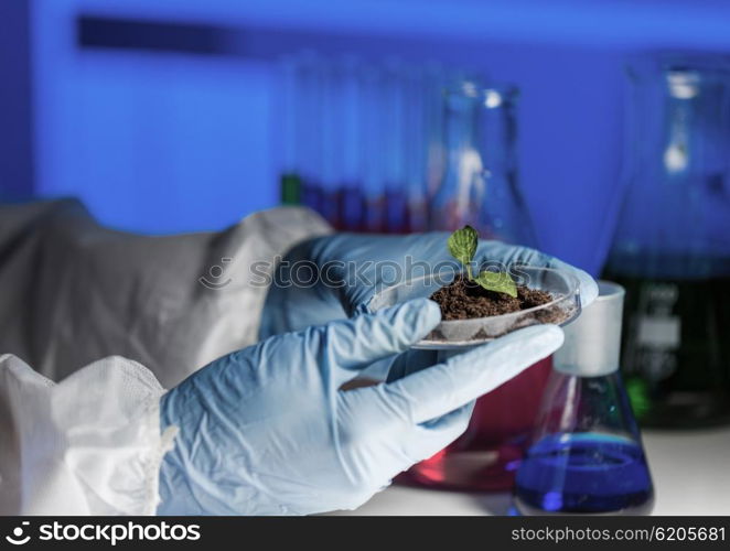 science, biology, ecology, research and people concept - close up of scientist hands holding petri dish with plant and soil sample in bio laboratory