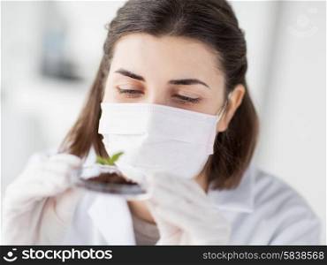 science, biology, ecology, research and people concept - close up of young female scientist wearing protective mask holding petri dish with plant and soil sample in bio laboratory