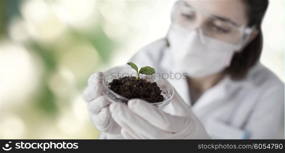 science, biology, ecology, research and people concept - close up of young female scientist wearing protective mask holding petri dish with plant and soil sample over green background
