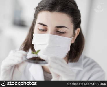 science, biology, ecology, research and people concept - close up of young female scientist wearing protective mask holding petri dish with plant and soil sample in bio laboratory