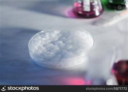 science, chemistry and people concept - close up of foaming chemical in petri dish on laboratory table