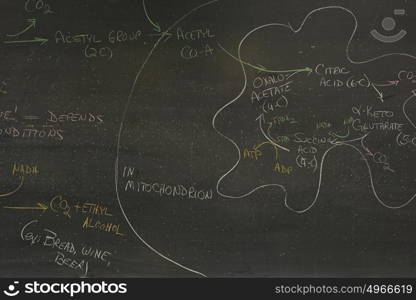 Science lesson written on a blackboard