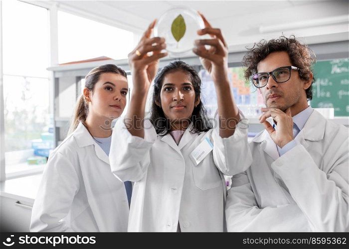 science research, gene technology and people concept - international group of scientists with green leaf in petri dish working in laboratory. group of scientists with leaf in laboratory