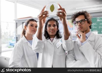 science research, gene technology and people concept - international group of scientists with green leaf in petri dish working in laboratory. group of scientists with leaf in laboratory