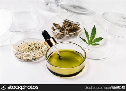 Science, Safety, Research, Technology with Cannabis. Legal, Medical and Recreational Use of Marijuana. Natural cosmetics or superfood. Science, Safety, Research, Technology of Cannabis