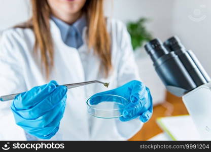 Scientific laboratory research
