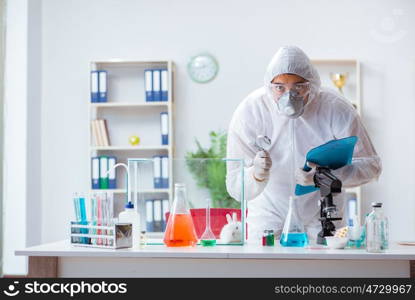 Scientist doing animal experiment in lab with rabbit