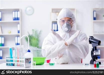Scientist doing animal experiment in lab with rabbit