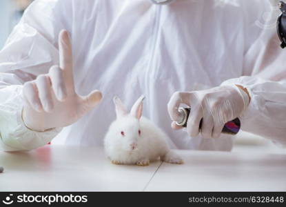 Scientist doing animal experiment in lab with rabbit. The scientist doing animal experiment in lab with rabbit