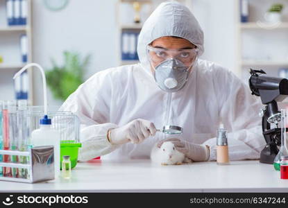 Scientist doing animal experiment in lab with rabbit