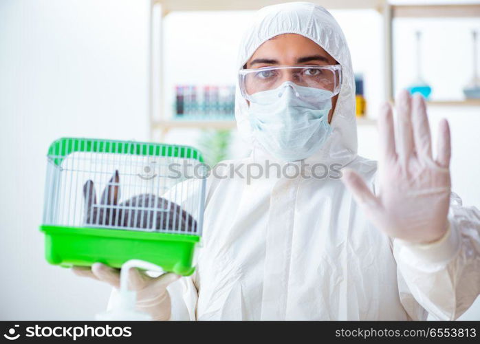 Scientist doing testing on animals rabbit