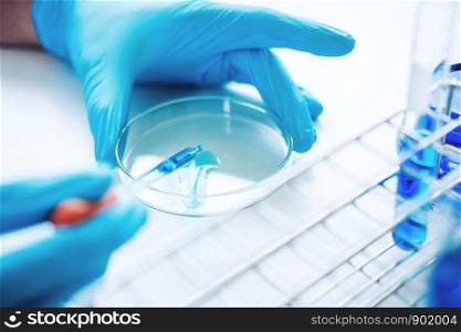 Scientist dropping chemical liquid to Petri dish in lab Glass laboratory chemical test,Laboratory research concept