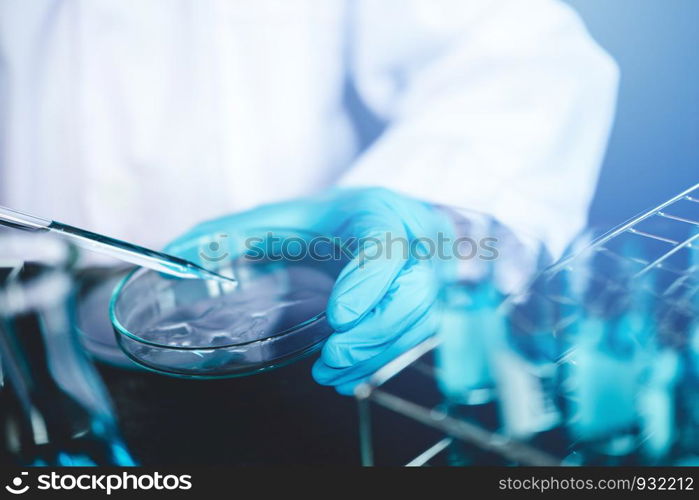 Scientist dropping chemical liquid to Petri dish in lab Glass laboratory chemical test,Laboratory research concept