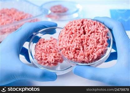 Scientist hands in glovers hold and show two samples of raw ground meat in laboratory petri dishes