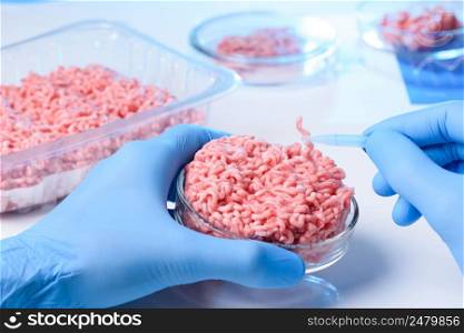 Scientist hands in protective gloves hold petri dish with raw ground meat sample and one small piece in tweezers