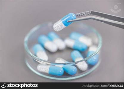 Scientist Holding Two-Colored Medicine with Tweezers above Petri Dish. Pharmaceutical Research.. Scientist Holding Medicine with Pincers Above Petri Dish