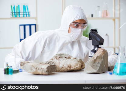 Scientist looking and stone samples in lab