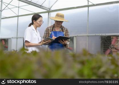 Scientist provide a consultation and suggestion to farmer in hydroponic greenhouse farm, clean food and food science concept