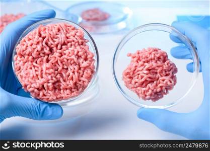 Scientist show two samples of meat in lab petri dish