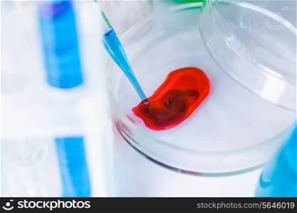 Scientist shows a diffusion in the Petri dish