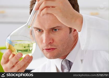 Scientist Studying Liquid In Flask