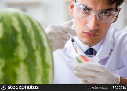 Scientist testing watermelon in lab
