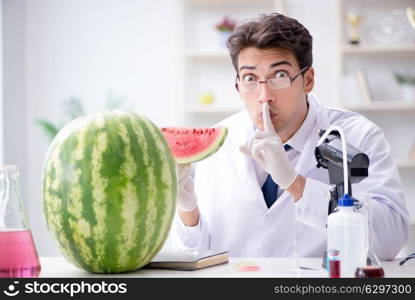 Scientist testing watermelon in lab