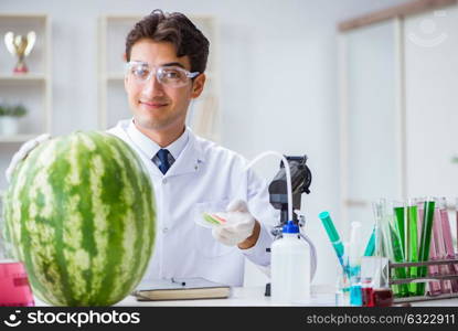 Scientist testing watermelon in lab