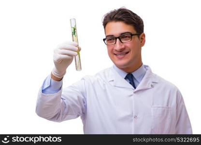 Scientist with green seedling in glass isolated on white. The scientist with green seedling in glass isolated on white