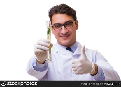 Scientist with green seedling in glass isolated on white. The scientist with green seedling in glass isolated on white