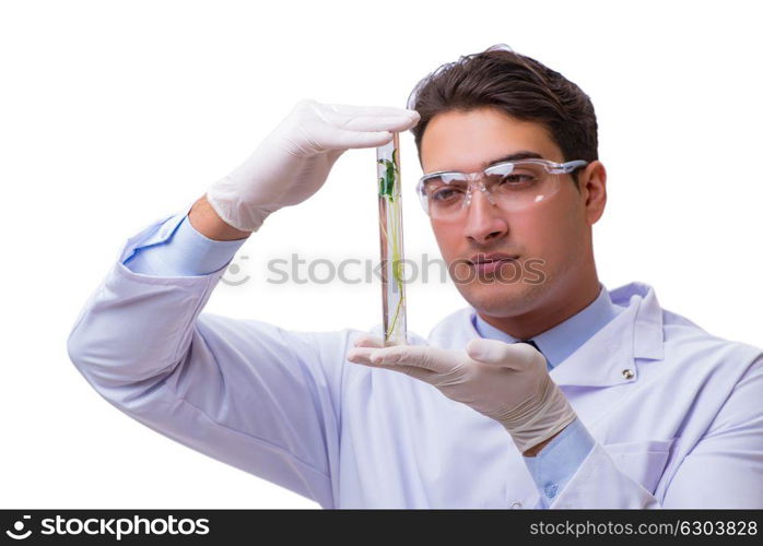 Scientist with green seedling in glass isolated on white